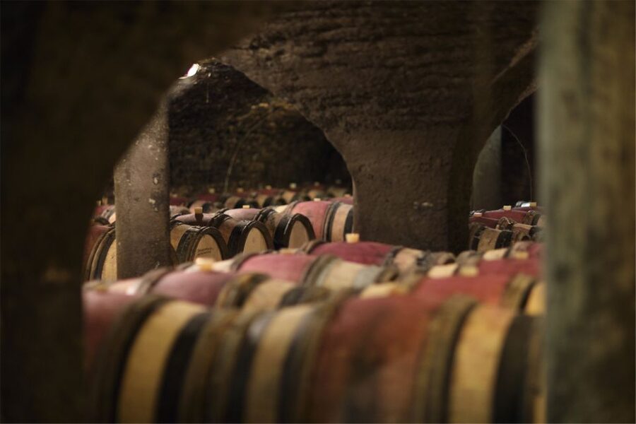 Beaune: Maison Champy Guided Cellar Tour with Wine Tasting - What to Do Before You Go, So You Get More From the Tasting
