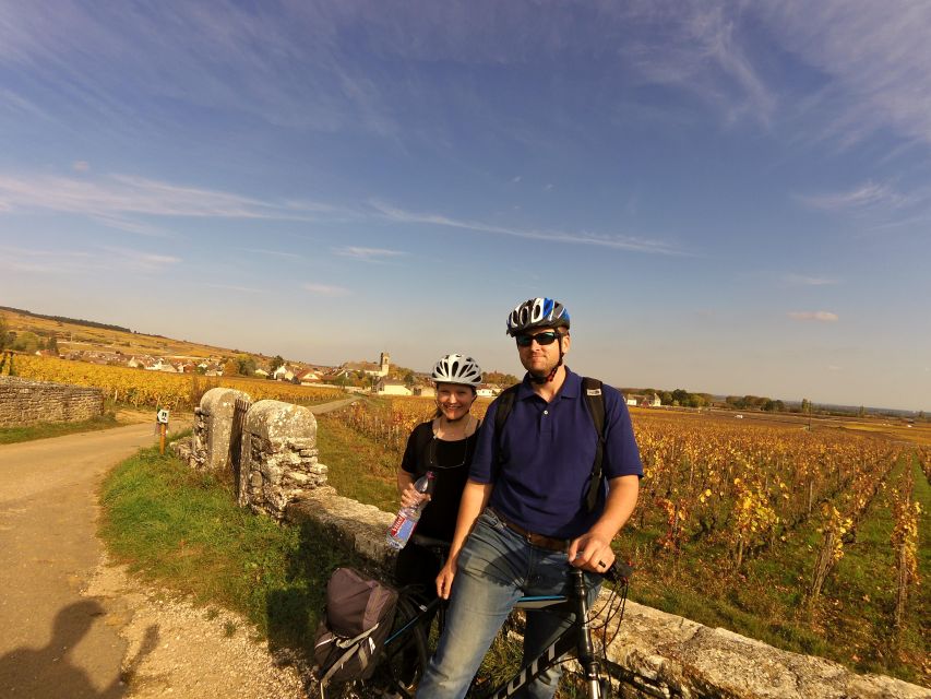 Beaune: Winery Tour by Bike with Wine Tasting - Key highlights you will feel fast