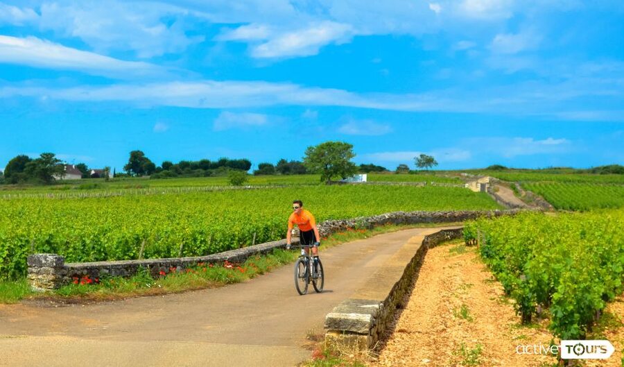 Beaune: Winery Tour by Bike with Wine Tasting - Why bike through Côte de Beaune instead of sitting still