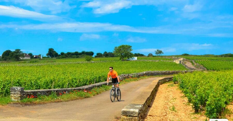 Beaune: Winery Tour by Bike with Wine Tasting - Pommard, Volnay, and Meursault: how the villages frame the vineyards