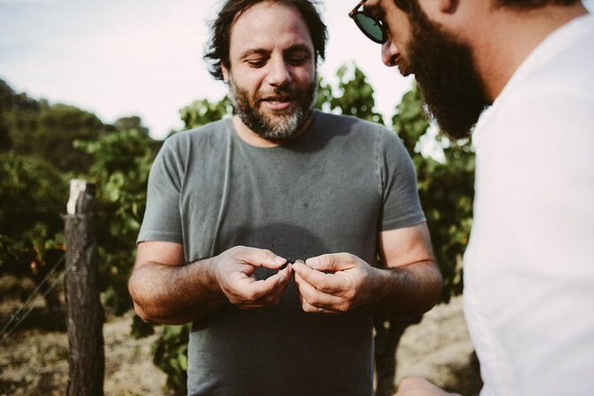 Bertrand Bosc wine and food tour in Pic St Loup - Key highlights to look for before you go