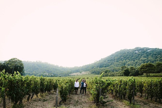 Bertrand Bosc wine and food tour in Pic St Loup - Pic St-Loup lunch at the family house: the main event
