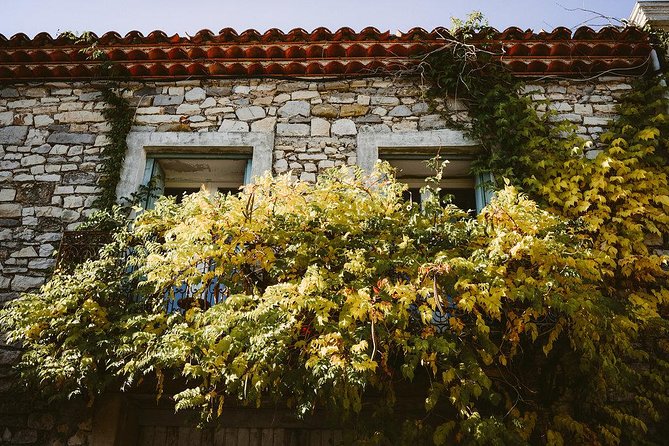 Bertrand Bosc wine and food tour in Pic St Loup - Maison des Consuls: a medieval village moment without overdoing it