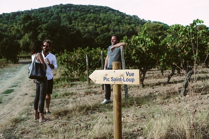 Bertrand Bosc wine and food tour in Pic St Loup - Valflaunes countryside drive: scenic winding-down time