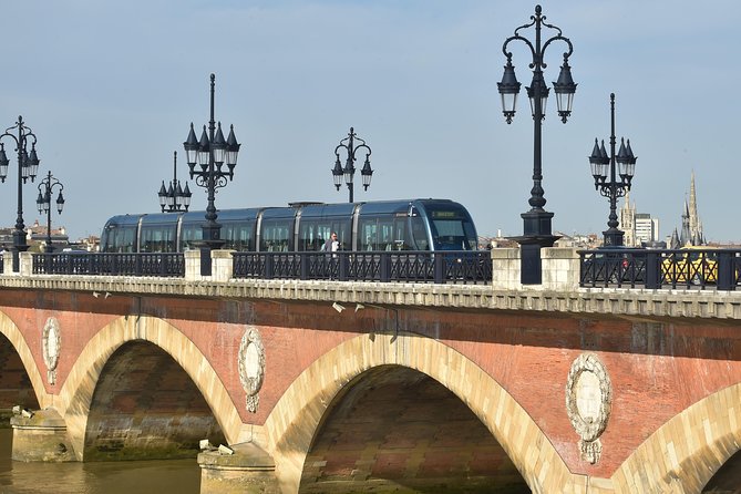Bordeaux City Pass - Musée de Bordeaux: natural history with a modern format
