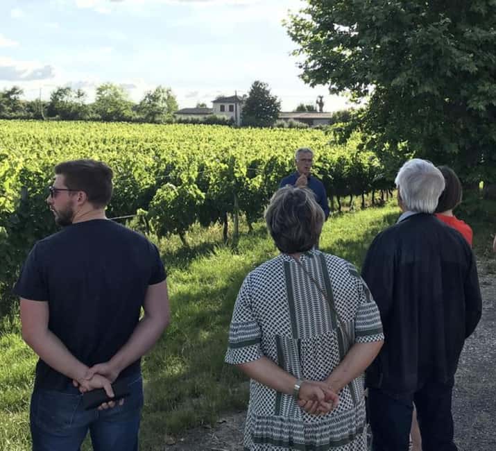 Bordeaux: Explore an Organic Family Vineyard with Tasting - Outdoor vine time and what organic farming changes