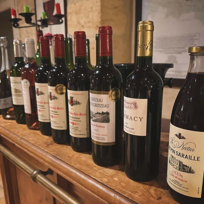 Bordeaux: Explore an Organic Family Vineyard with Tasting - Who this tour suits best, and who might want something else
