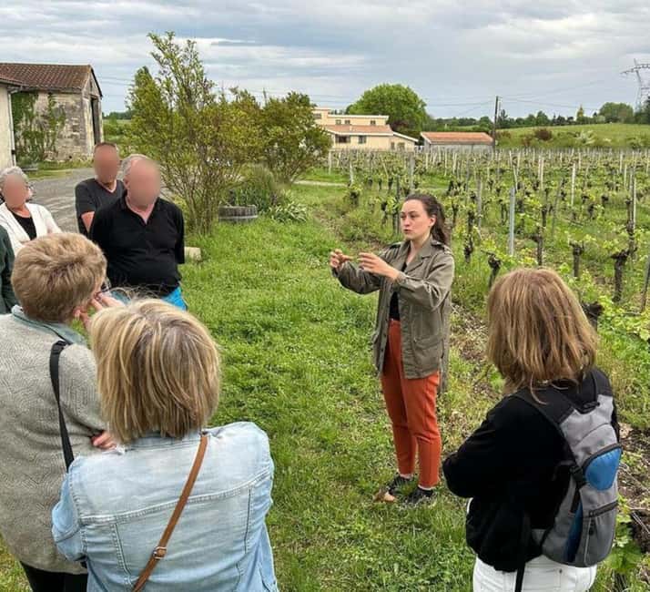 Bordeaux: Explore an Organic Family Vineyard with Tasting - Getting there from Bordeaux (and what to plan for)