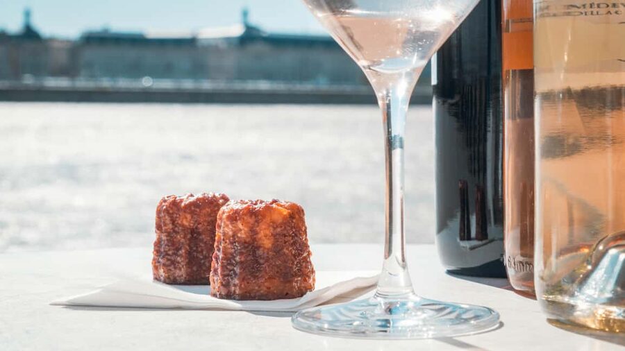 Bordeaux: Guided Wine and Canelé Discovery Cruise - The boat experience: panoramic, air-conditioned, and built for comfort