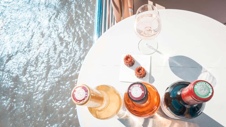 Bordeaux: Guided Wine and Canelé Discovery Cruise - Weather, timing, and why timing can shape the vibe