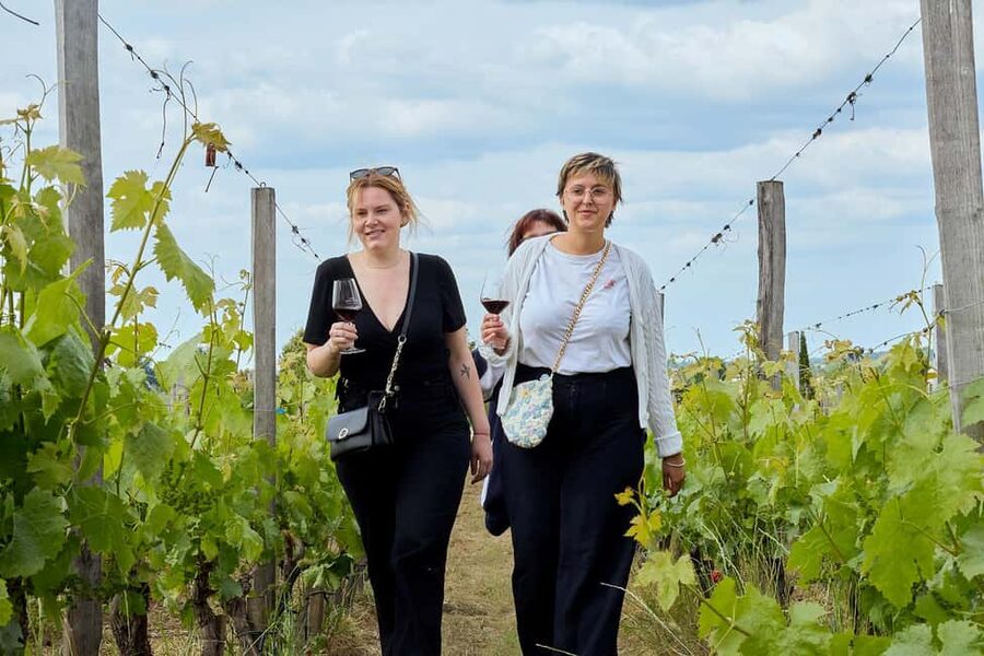 Bordeaux: Half-Day Margaux Tour with Wine Tastings - Price and value: what $106 buys you in real terms