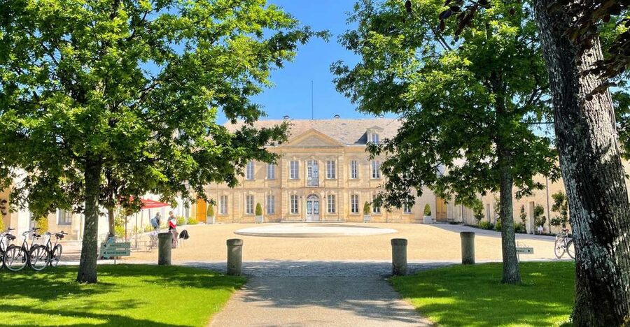 Bordeaux: Médoc & St-Emilion Wine 3 châteaux with lunch - Classified Growth in the Medoc: cellars, vineyards, and estate stories