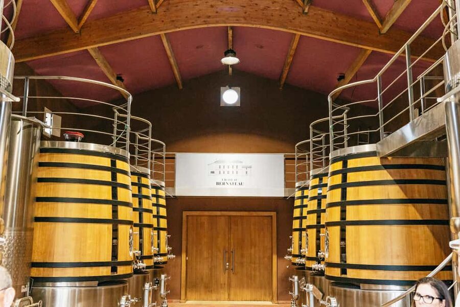 Bordeaux: St. Emilion Day Trip with Wine Tasting and Lunch - Saint-Émilion Village Walking Tour: UNESCO Sights at Human Speed