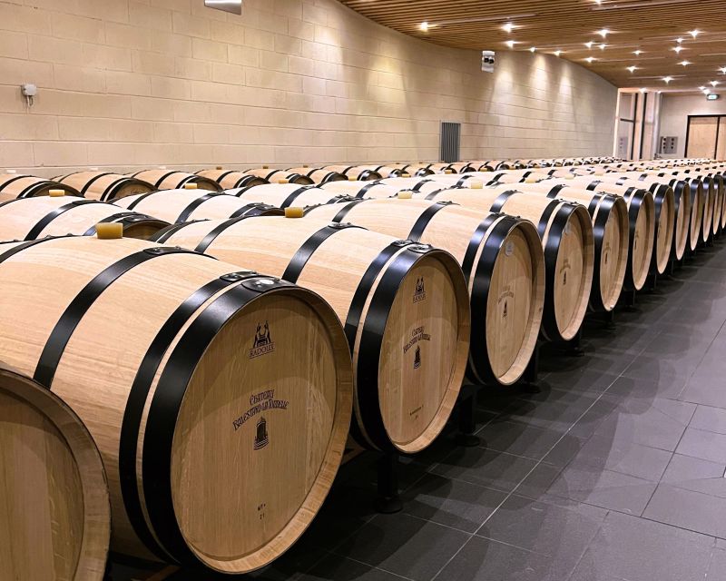 Bordeaux: St-Emilion Vineyards e-Bike Tour with Wine & Lunch - First Château Stop Plus Lunch in the Vineyard Garden