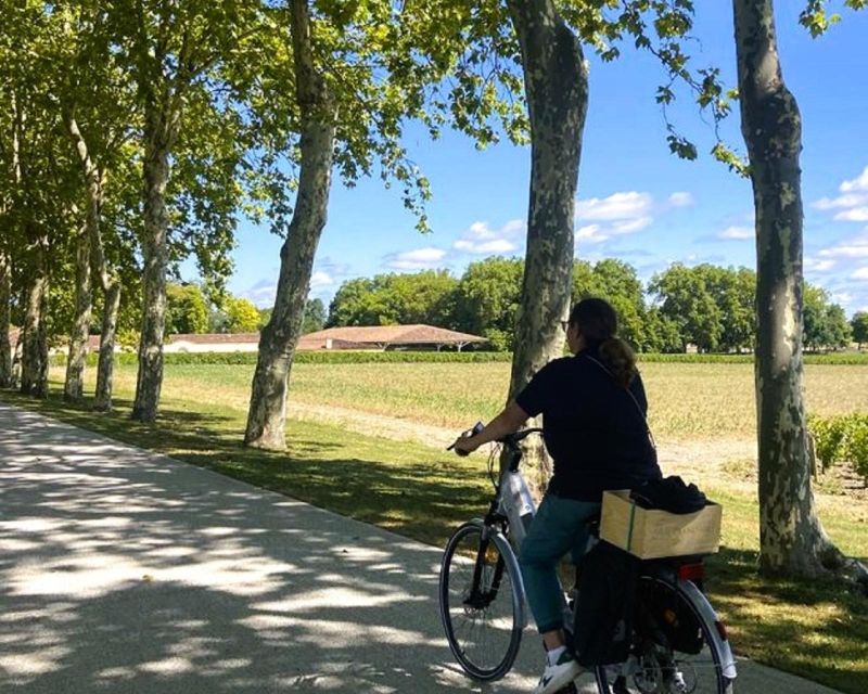 Bordeaux: St-Emilion Vineyards e-Bike Tour with Wine & Lunch - Second Château Visit: Tour the Cellars, Taste the Winemaker’s Choices