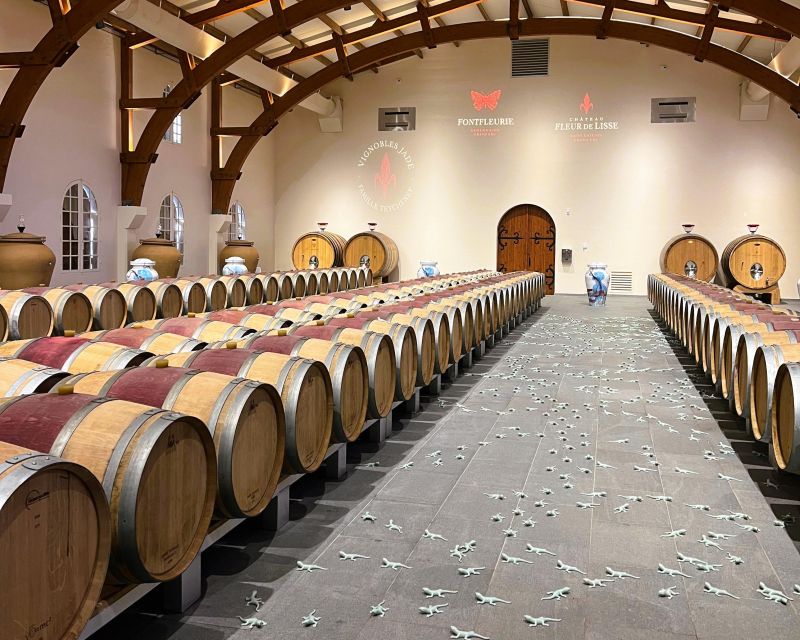 Bordeaux: St-Emilion Vineyards e-Bike Tour with Wine & Lunch - Who This Tour Suits Best (and Who Should Skip It)