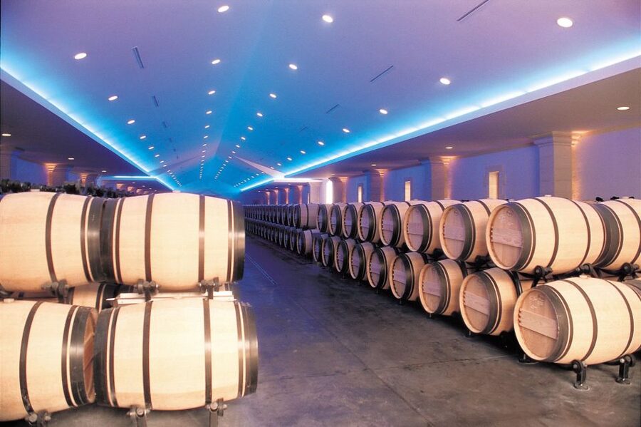 Bordeaux: Vineyards Wine Tasting Half-Day Trip - Medoc, Graves and Sauternais, and Entre-deux-Mers: comparing the feel