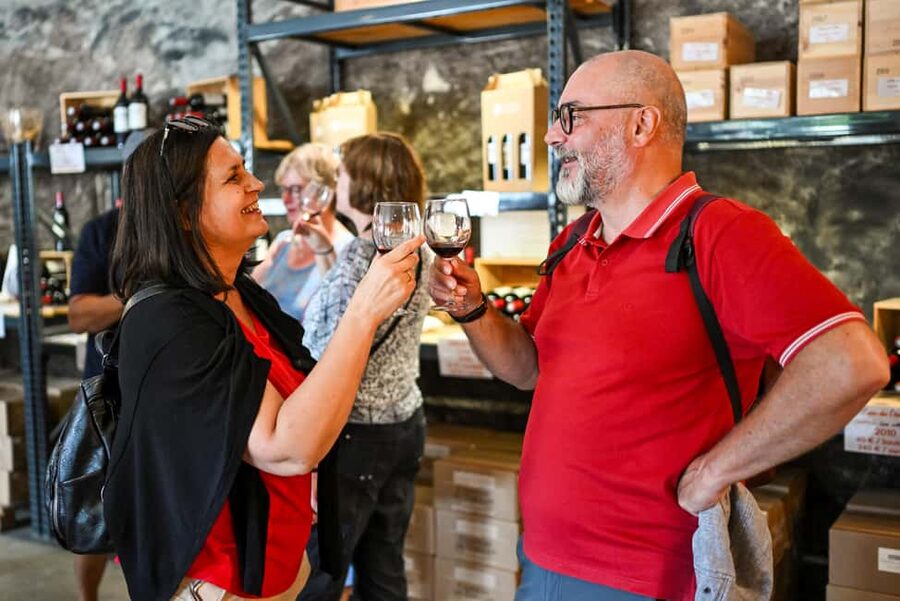 Bordeaux: Vineyards Wine Tasting Half-Day Trip - Blaye and the Citadel: a different kind of Bordeaux day