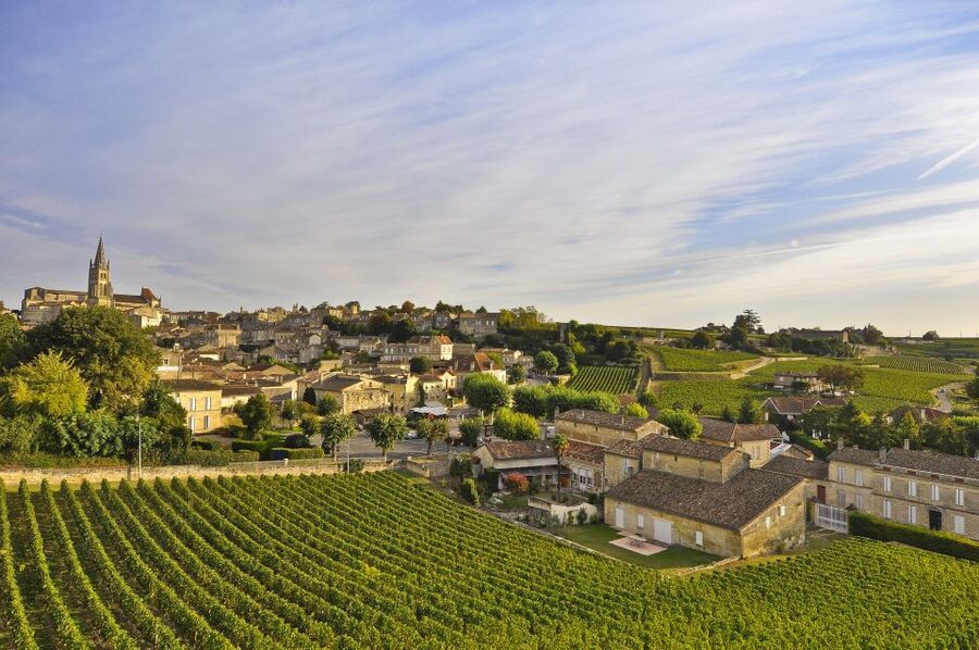 Bordeaux: Vineyards Wine Tasting Half-Day Trip - Who this tour suits best, and who should skip it