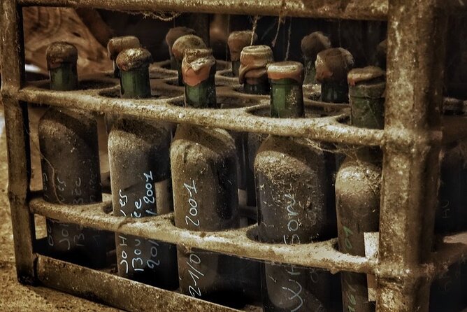 Bordeaux Wine and Trade Museum Admission Ticket with Wine Tasting - Who Should Book This Ticket (And Who Should Skip It)