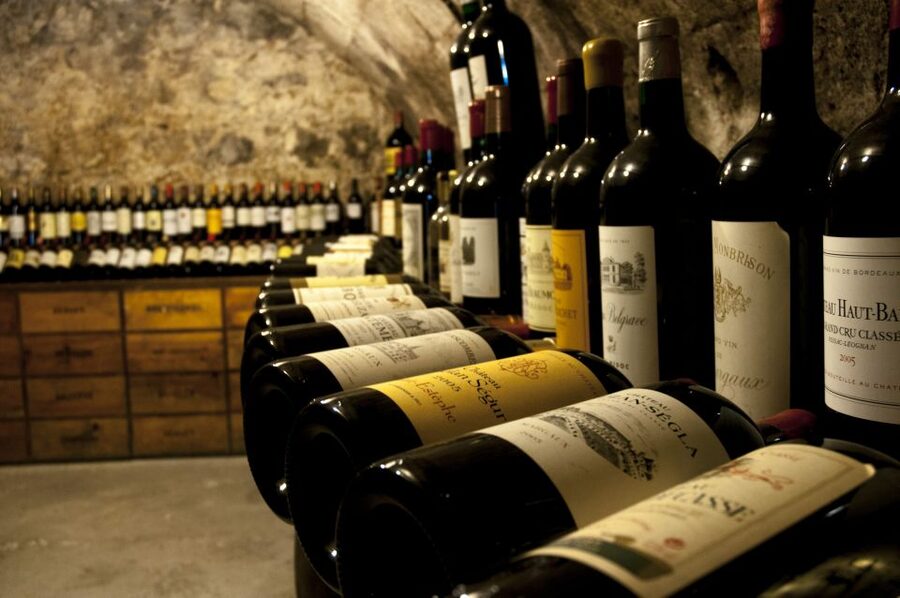 Bordeaux: Wine and Trade Museum Entry Ticket & Wine Tasting - The vineyard presentation that makes AOC and terroir feel real