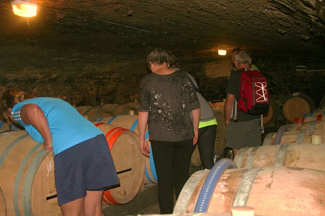 Burgundy Bike Tour with Wine Tasting from Beaune - Key moments that make this tour worth your day