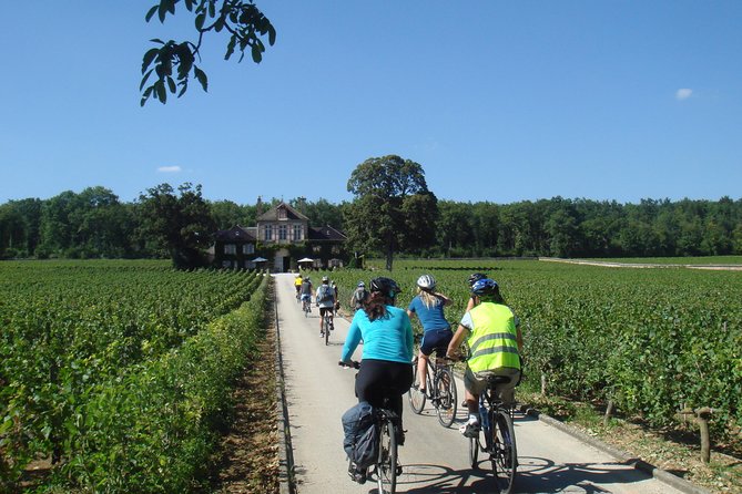 Burgundy Bike Tour with Wine Tasting from Beaune - Domaine Famille Picard: 14th-century cellars and three wines