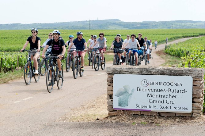 Burgundy Bike Tour with Wine Tasting from Beaune - Lunch around Puligny-Montrachet: fueling the middle of the day