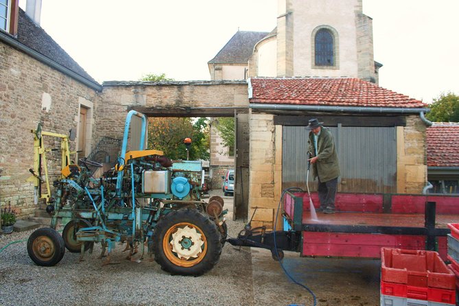 Burgundy Bike Tour with Wine Tasting from Beaune - Guides make or break the day, and this tour leans hard into it