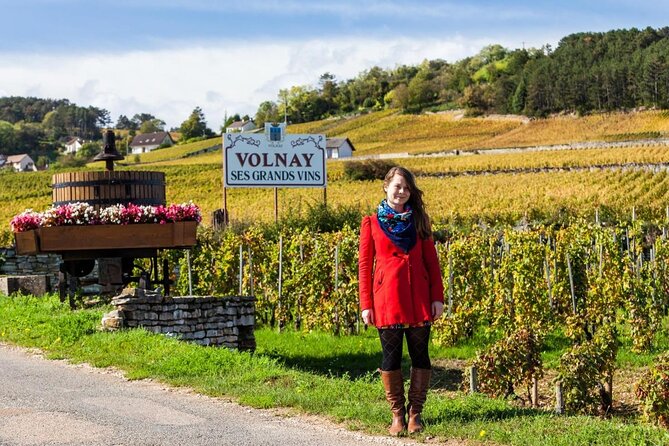 Burgundy Grand Crus Route Day Tour - 14 Wines Tastings in Domains - Key things to know before you go