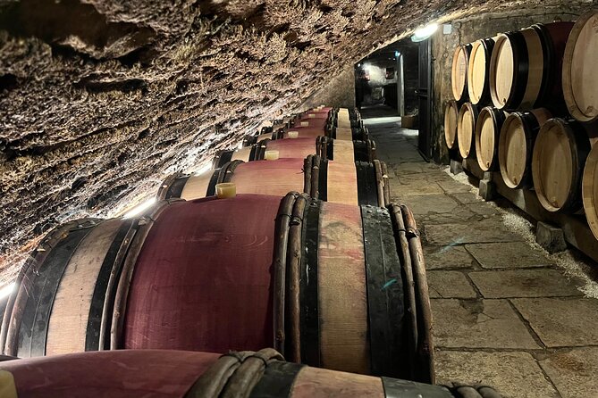 Burgundy Grand Crus Route Day Tour - 14 Wines Tastings in Domains - From Beaune to the Côte d’Or: your day at a glance