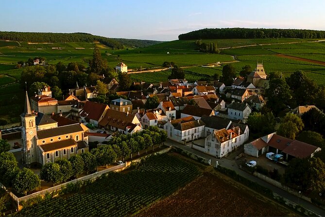 Burgundy Grand Crus Route Day Tour - 14 Wines Tastings in Domains - Clos de Vougeot stop: what you see in 10 minutes