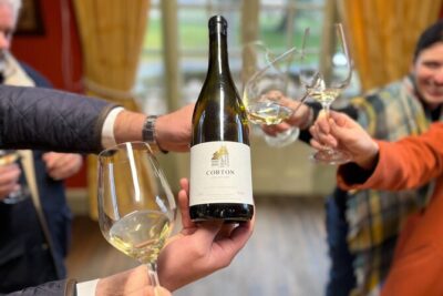 Burgundy Grand Crus Route Day Tour – 14 Wines Tastings in Domains