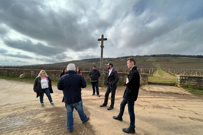 Burgundy Grand Crus Route Day Tour - 14 Wines Tastings in Domains - Nuits-Saint-Georges domaine visit: tasting village vs 1er cru
