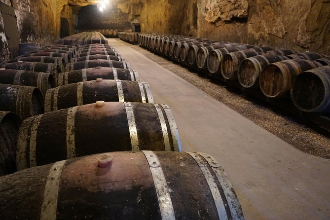 Burgundy Wine Tasting Small-Group Tour in Chablis from Paris - Auxerre Cathedral Views: The Quick Stop You’ll Appreciate Later