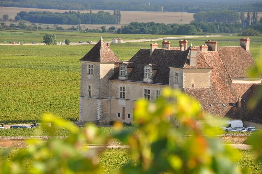 Burgundy Wines Full-Day Tasting Tour from Dijon - Meet at Maison Divia and settle into a 7-hour Burgundy rhythm