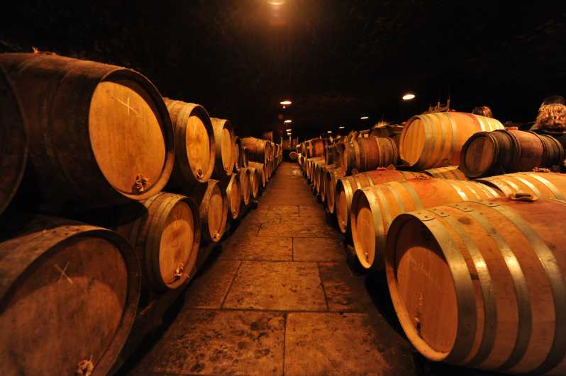Burgundy Wines Full-Day Tasting Tour from Dijon - Two cellar visits and up to 10 wines: what you are really paying for