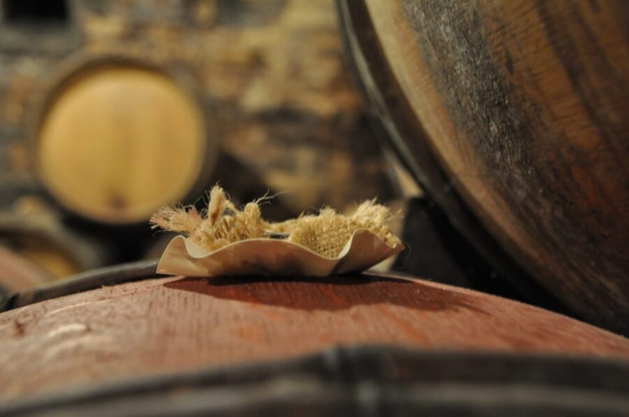 Burgundy Wines Full-Day Tasting Tour from Dijon - The day’s pacing: how the tastings fit with real sightseeing