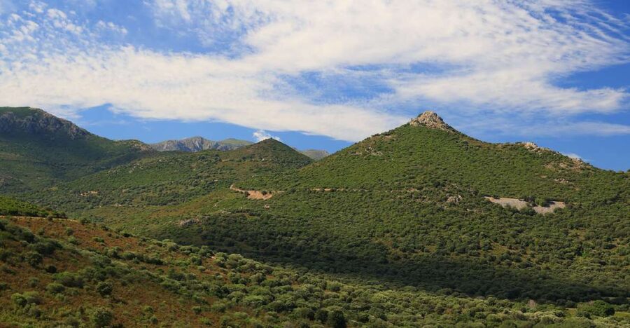 Calvi: Asco Valley 4x4 Day Tour with Guide - Key Highlights You Will Actually Care About