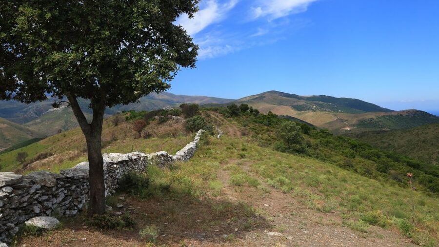 Calvi: Asco Valley 4x4 Day Tour with Guide - From Calvi to Monte Cinto Slopes, in a Real 4x4 Day