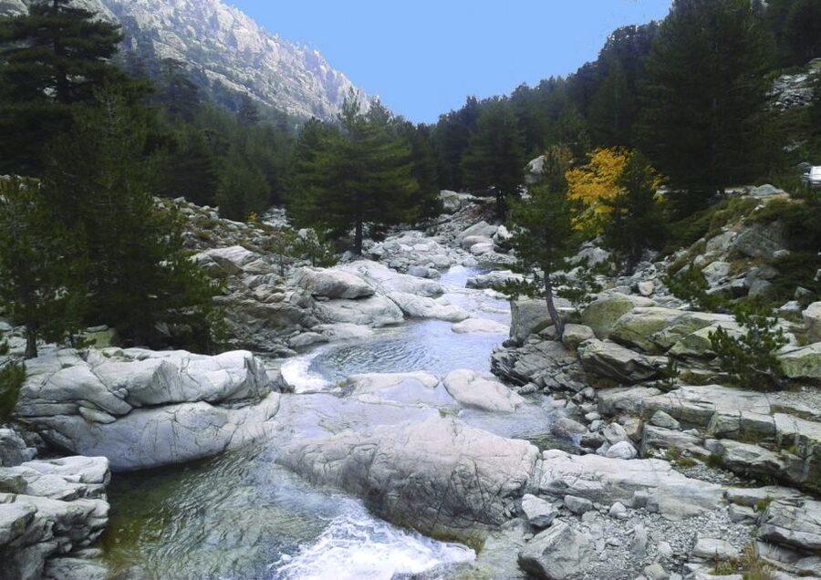 Calvi: Asco Valley 4x4 Day Tour with Guide - Who Should Book This 4x4 Asco Valley Day Tour