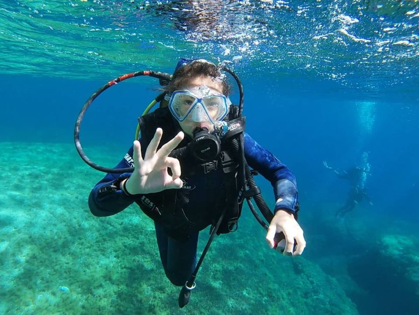 Calvi: Introduction to Diving Dive with an Instructor - Key things I think you will notice right away