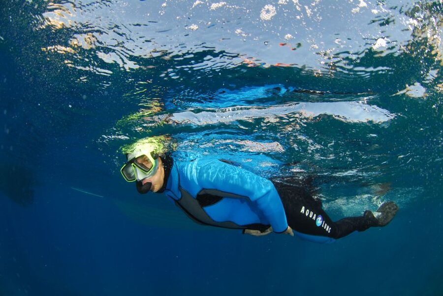 Calvi: Pointe de la Revellata Snorkeling Boat Tour - Price and value: is $41 per person fair?