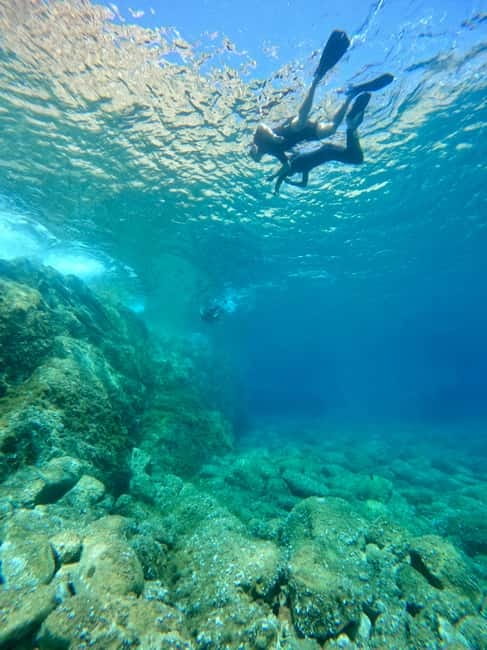 Calvi : Sortie snorkeling en bateau en bordure de réserve - Key Points You Should Know Before You Go