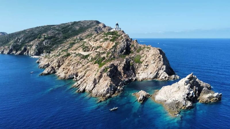 Calvi : Sortie snorkeling en bateau en bordure de réserve - What You Can See at the Reserve Edge (And What You Should Not Expect)