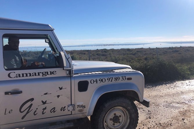 Camargue 4x4 Safari 2 hours Saintes Maries de la Mer - How the 4x4 safari actually plays out in Saintes-Maries-de-la-Mer