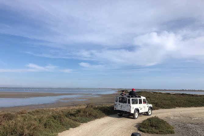 Camargue 4x4 Safari 2 hours Saintes Maries de la Mer - Comfort, parking, and the bathroom issue
