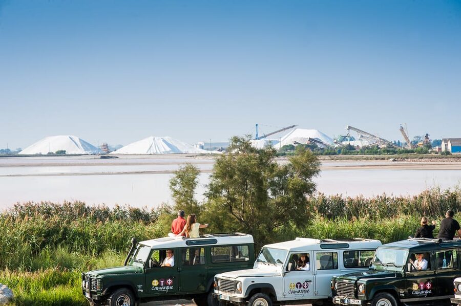 Camargue: Half-Day 4x4 Guided Safari Adventure - Mas du Notaire gourmet break and wine tasting: snacks that actually count