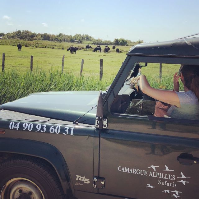 Camargue: Safari from Saintes-Maries-de-la-Mer - Why this short safari hits the sweet spot