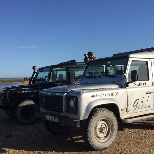 Camargue: Safari from Saintes-Maries-de-la-Mer - How the guide turns “wildlife spotting” into real learning